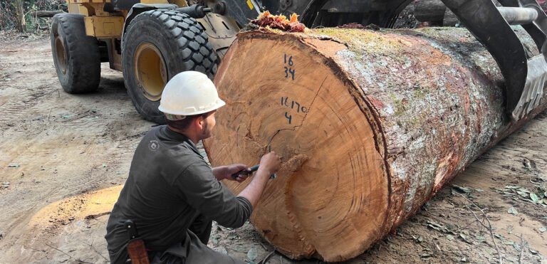 Black_Label_blog_post_dec_2022_Chain-of-Custody-why-does-it-matter-for-architects_cover2